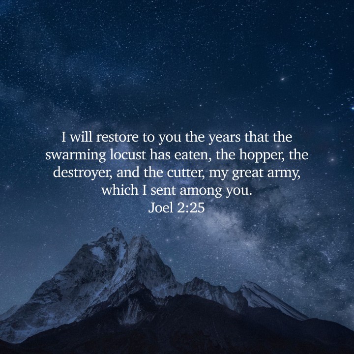 Restoring the Wasted&nbsp;Years.